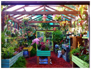 Hannah's greenhouse
